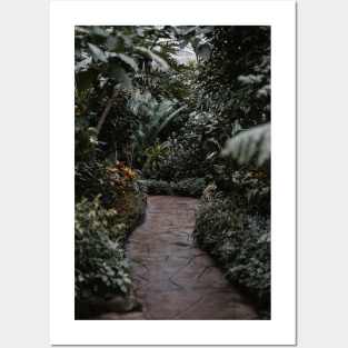 Botanical Path Posters and Art